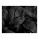 Decorative Glass Wall Tile (898 X 700 X 6mm) Feathers