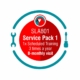 3 Month Interactive Traning SLA