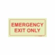 PHOTOLUMINESCENT 190MM SAFETY SIGN - F41-EMERGENCY EXIT ONLY